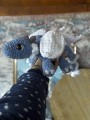 IMG_9380.jpeg