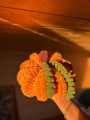 IMG_0359.jpeg