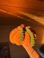 IMG_0360.jpeg
