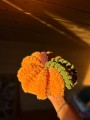 IMG_0363.jpeg