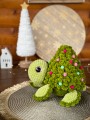 IMG_1619.jpeg