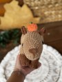 IMG_6029.jpeg