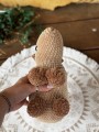 IMG_6030.jpeg