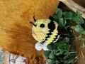 IMG_6929.jpeg