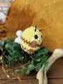 IMG_6928.jpeg